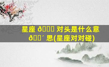 星座 🕊 对头是什么意 🌴 思(星座对对碰)